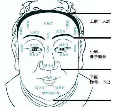 从天庭发髻看人的运气