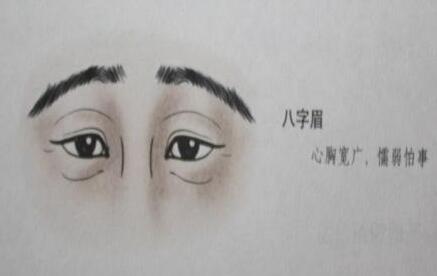 下面相术网从 眉毛看相方面解析, 倒八字眉的男人面相图解.