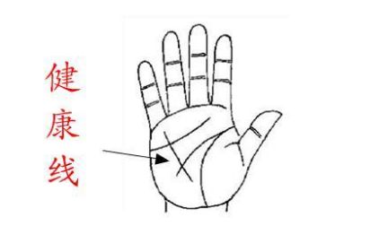手相,健康线