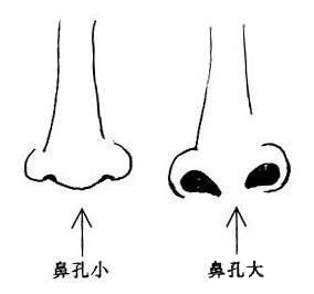 鼻子看相圖解_女人面相鼻子_男人面相鼻子_鼻子面相算命圖解_(第26頁)